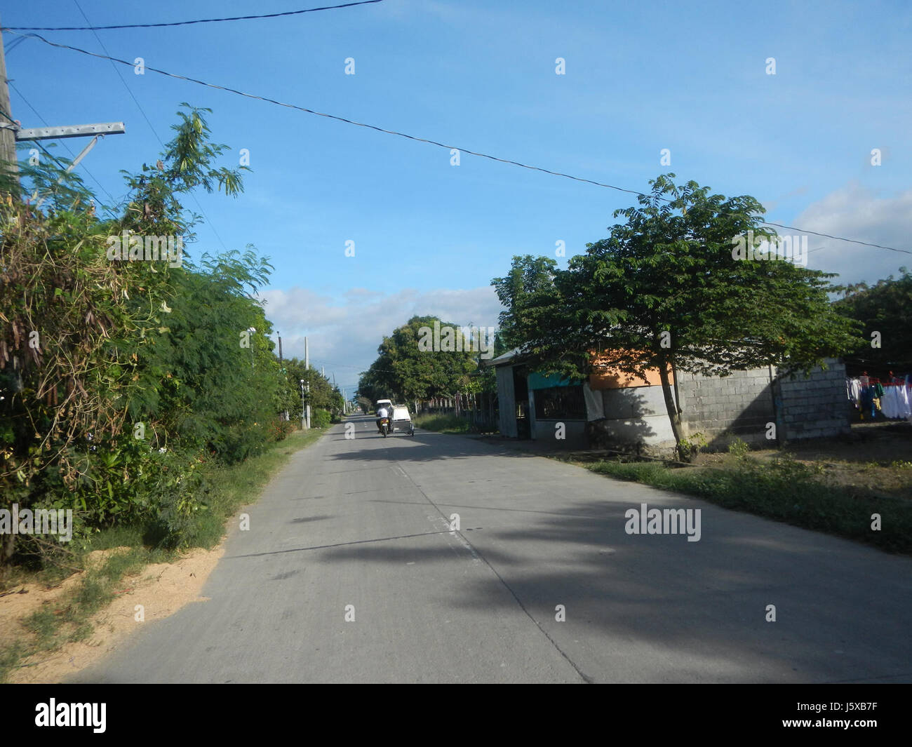 04508 Paddy fields Salapungan Roads Magumbali Candaba Pampanga  27 Stock Photo