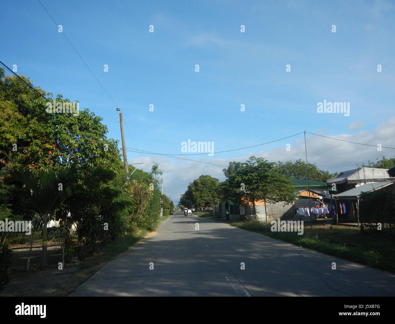 04508 Paddy fields Salapungan Roads Magumbali Candaba Pampanga  28 Stock Photo
