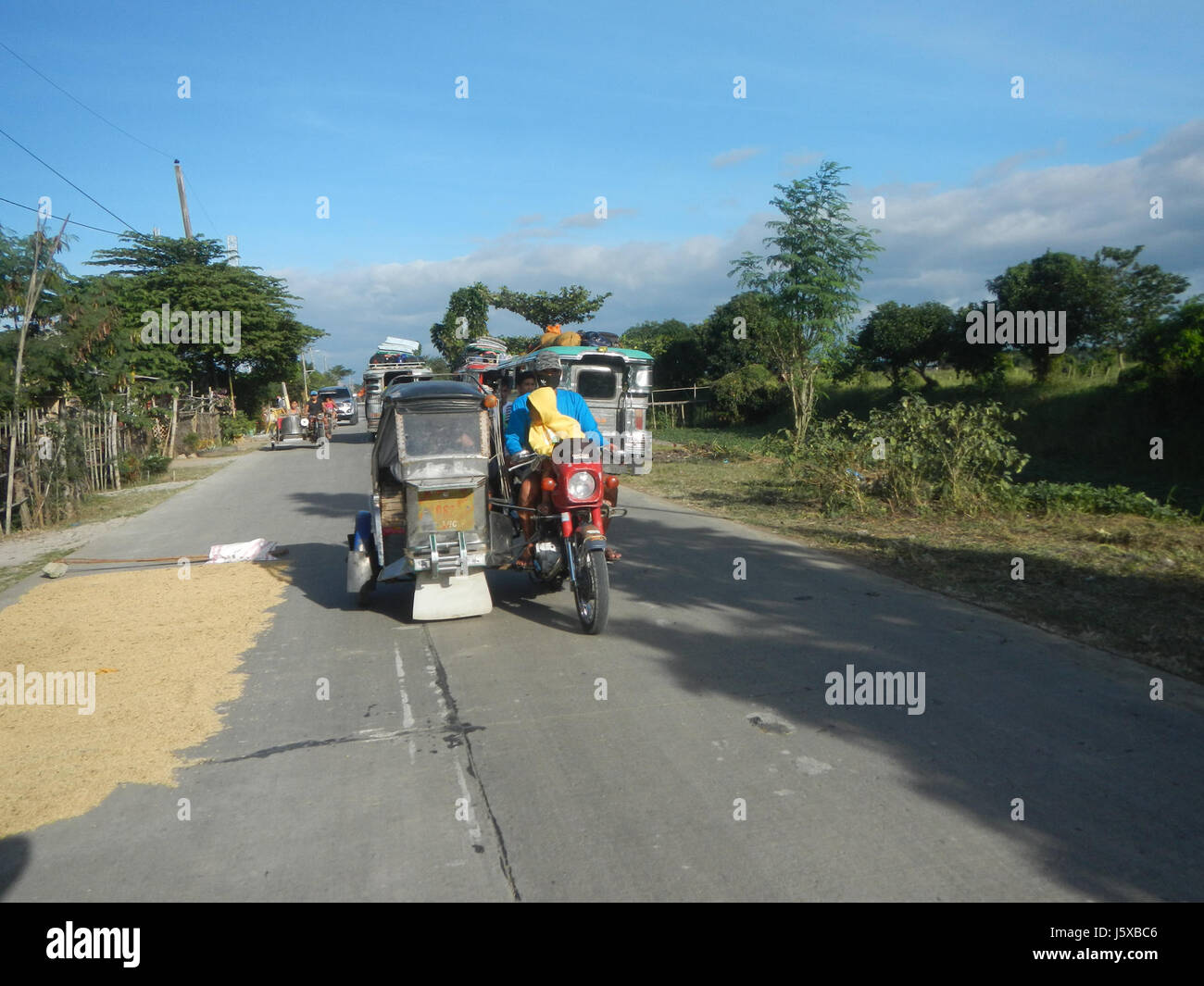 04648 Paddy fields Salapungan Roads Magumbali Candaba Pampanga  22 Stock Photo