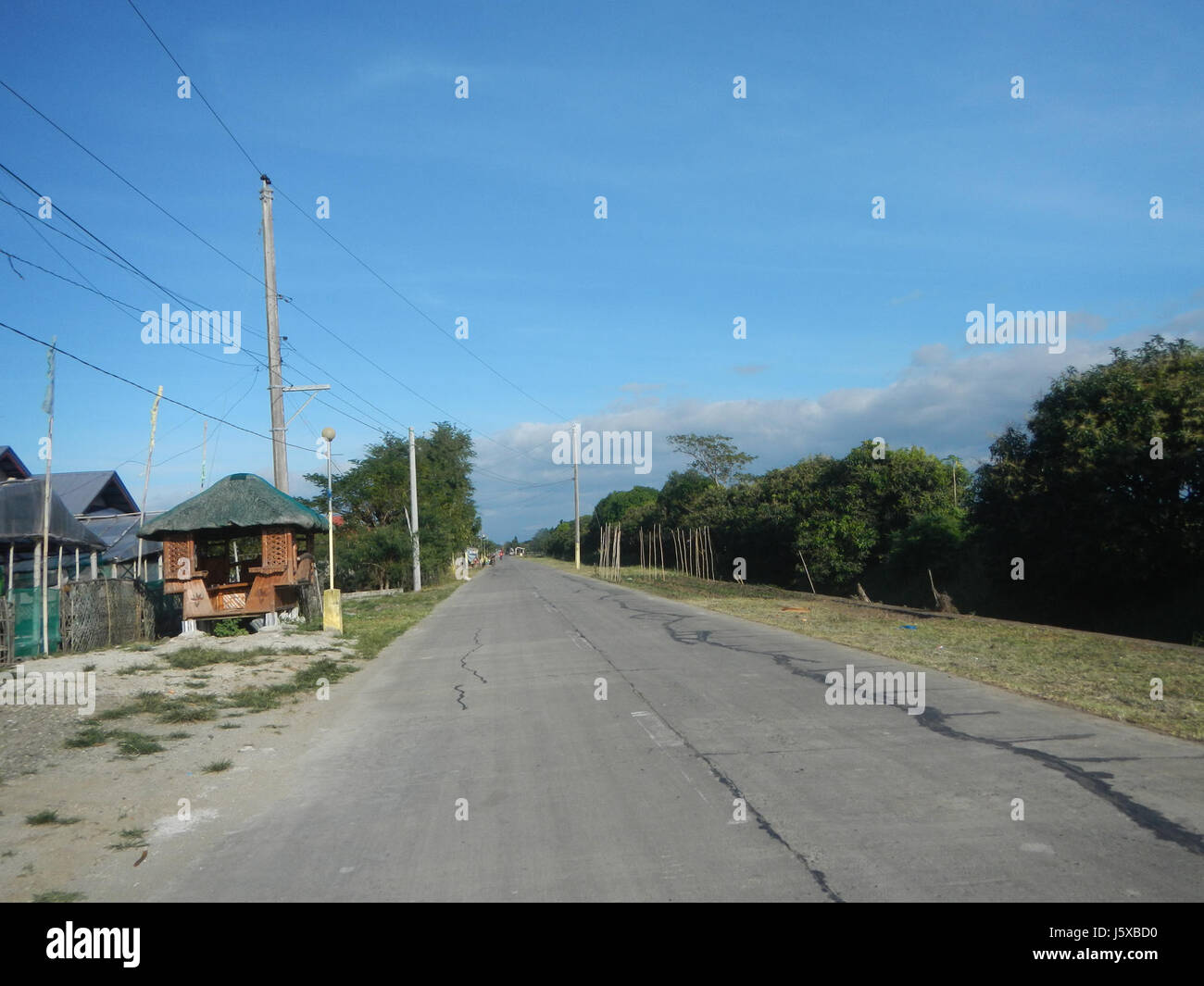 04682 Paddy fields Salapungan Roads Magumbali Candaba Pampanga  12 Stock Photo