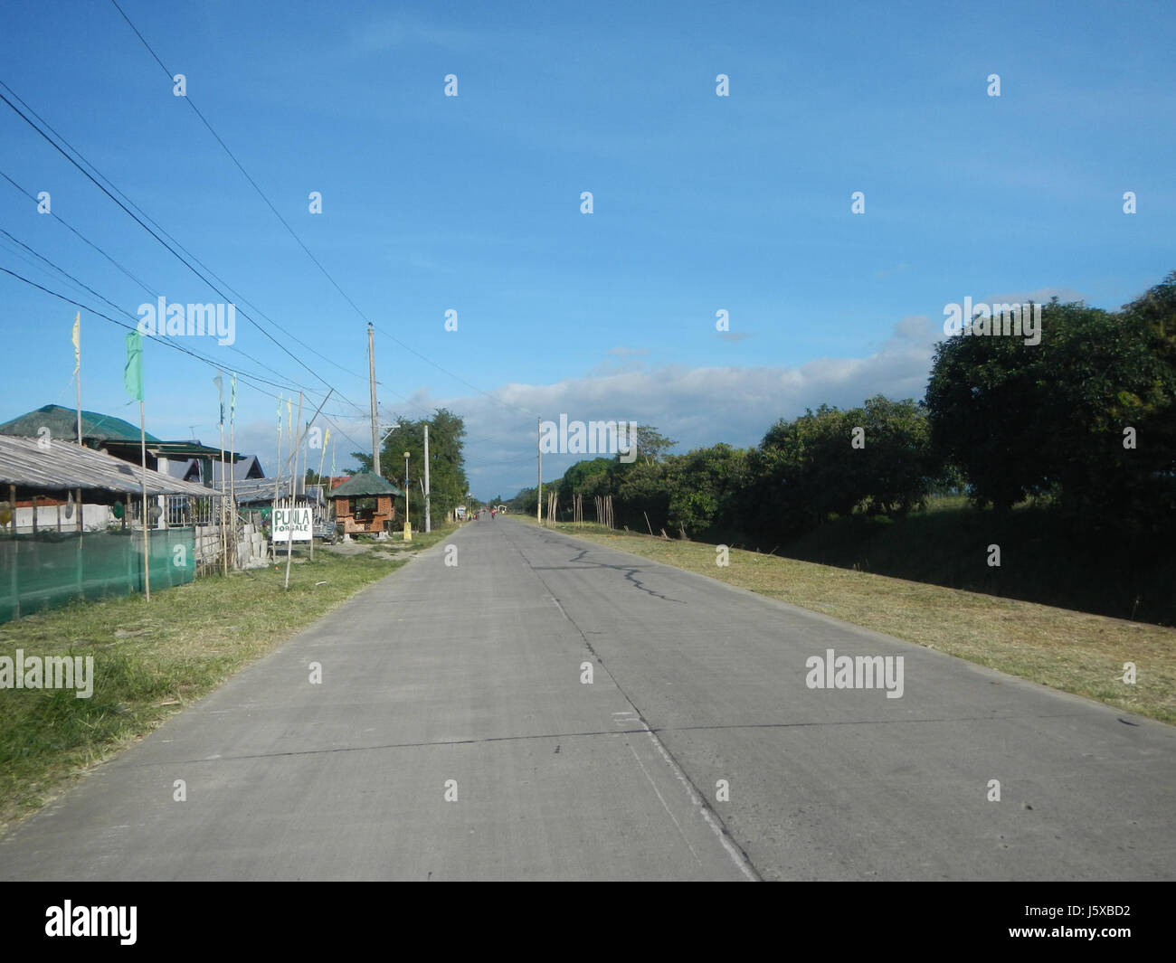 04682 Paddy fields Salapungan Roads Magumbali Candaba Pampanga  14 Stock Photo
