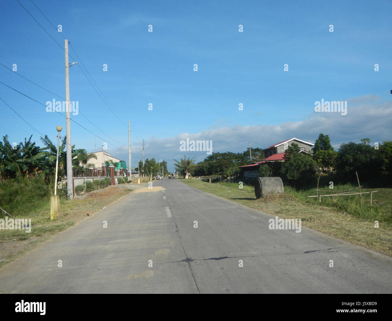04682 Paddy fields Salapungan Roads Magumbali Candaba Pampanga  21 Stock Photo