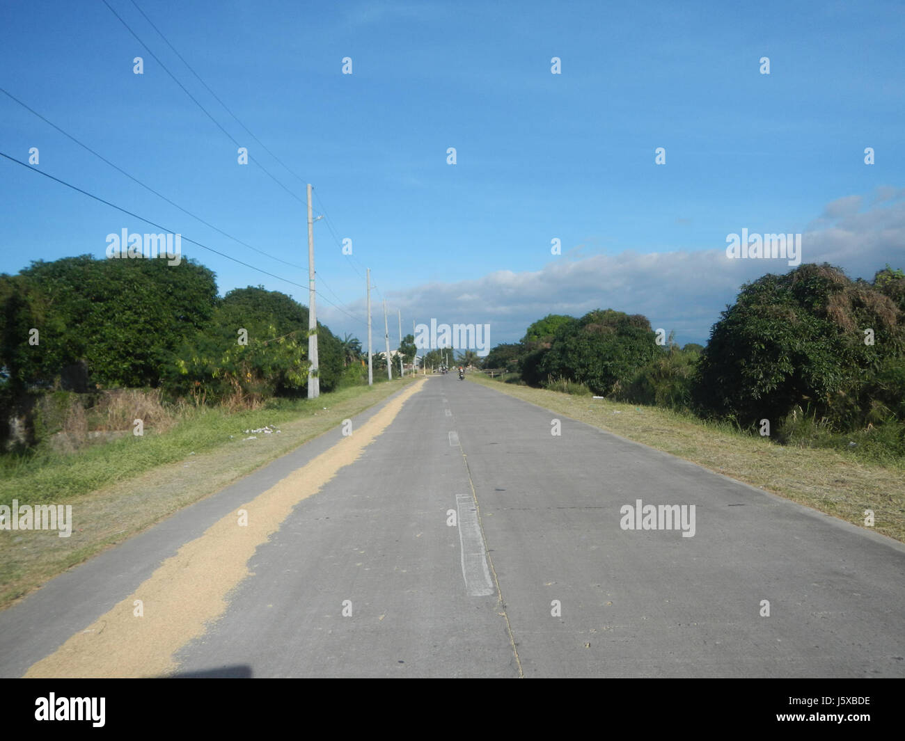 04682 Paddy fields Salapungan Roads Magumbali Candaba Pampanga  26 Stock Photo