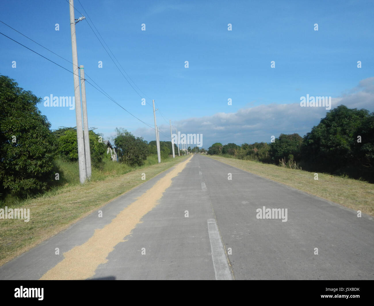 04682 Paddy fields Salapungan Roads Magumbali Candaba Pampanga  30 Stock Photo