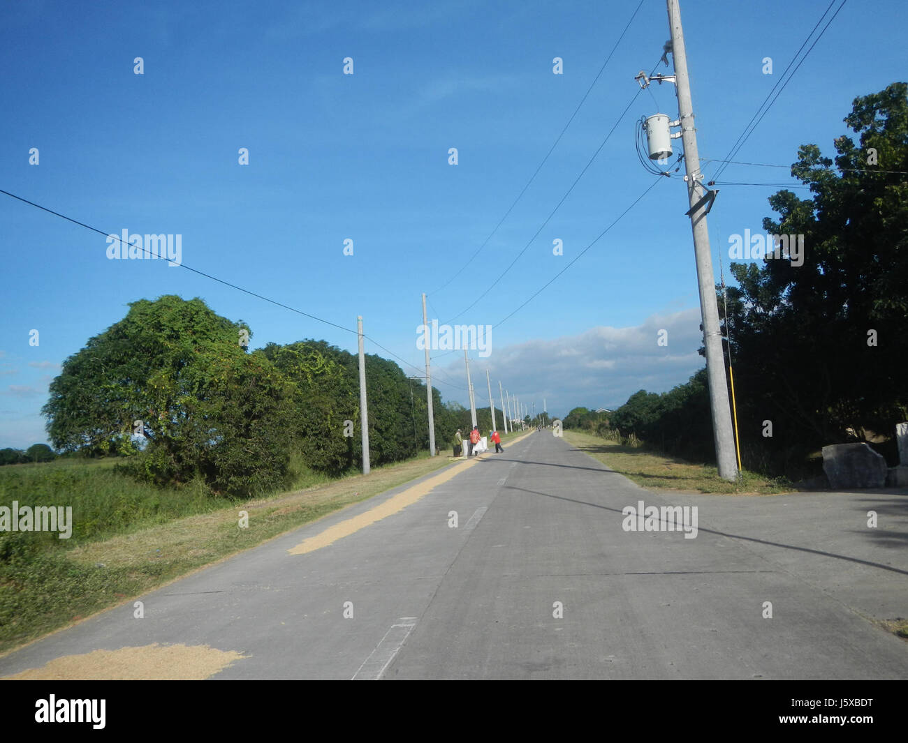 04682 Paddy fields Salapungan Roads Magumbali Candaba Pampanga  34 Stock Photo
