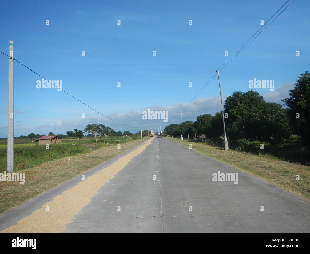 04731 Paddy fields Salapungan Roads Magumbali Candaba Pampanga  11 Stock Photo