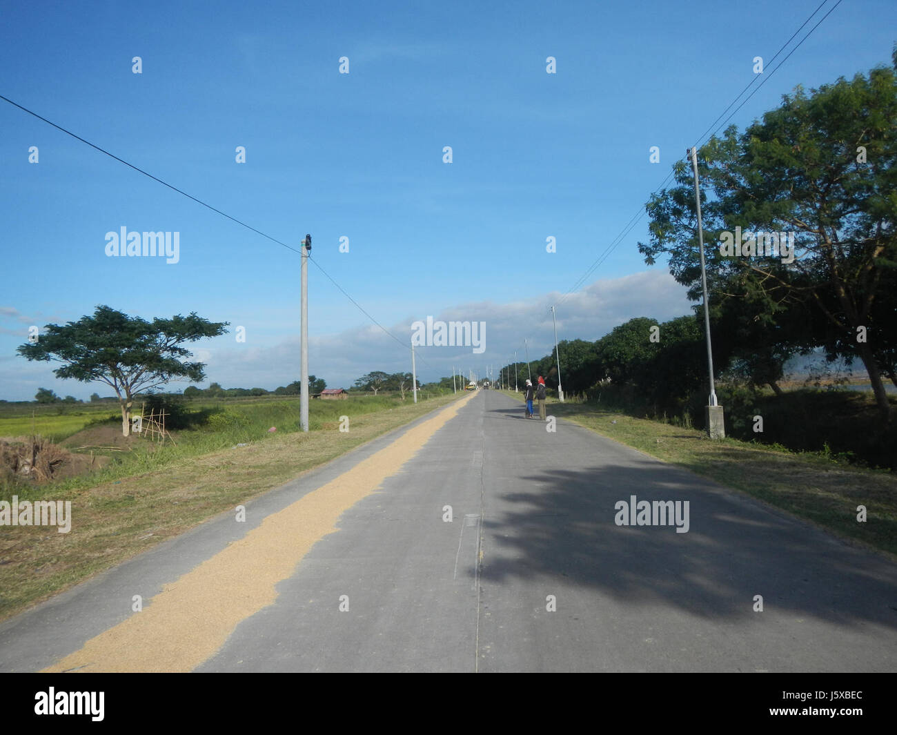 04731 Paddy fields Salapungan Roads Magumbali Candaba Pampanga  15 Stock Photo