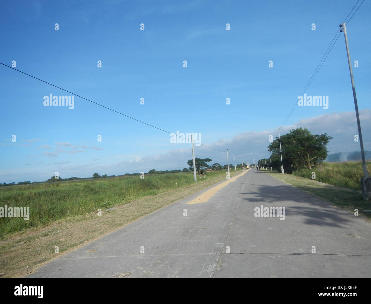 04731 Paddy fields Salapungan Roads Magumbali Candaba Pampanga  16 Stock Photo