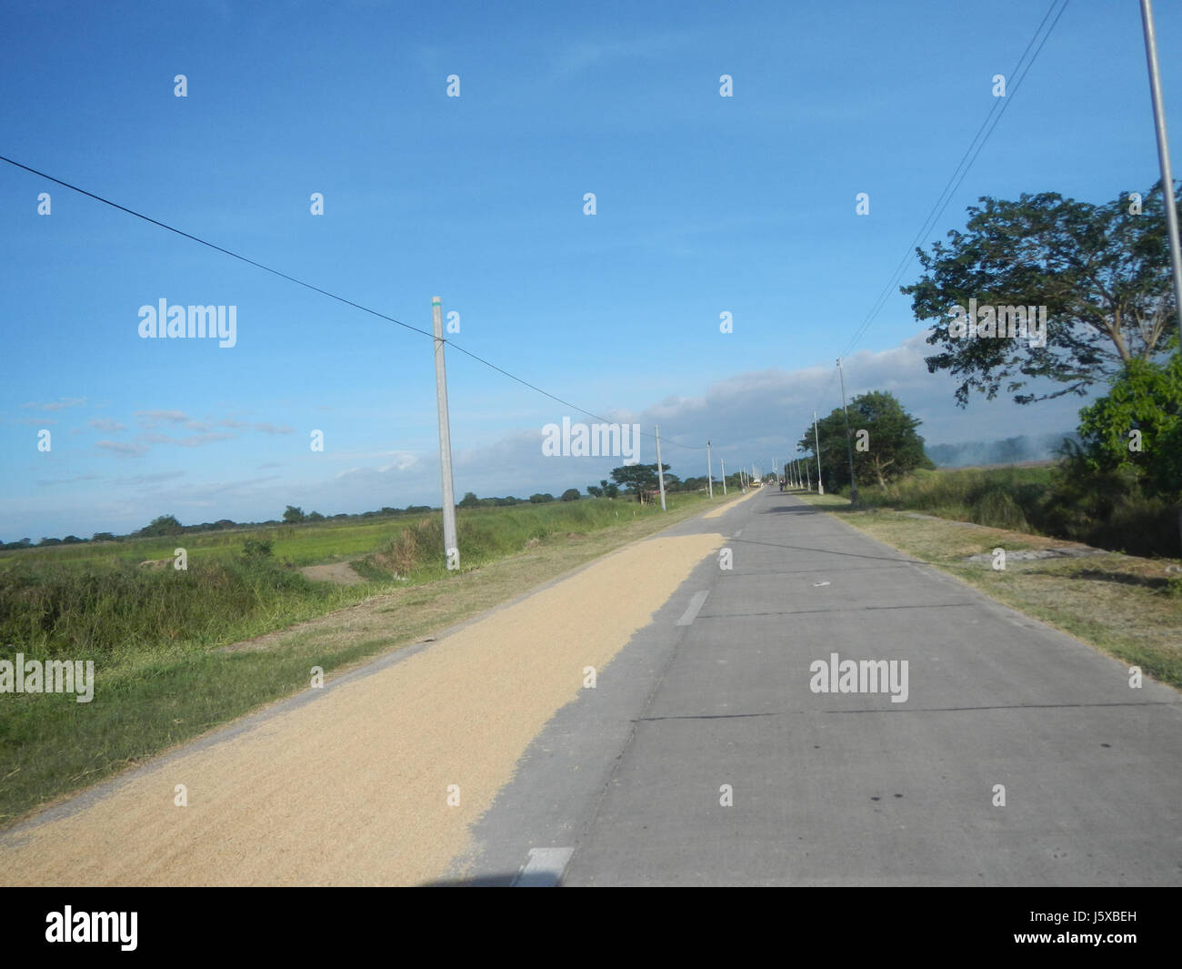 04731 Paddy fields Salapungan Roads Magumbali Candaba Pampanga  18 Stock Photo