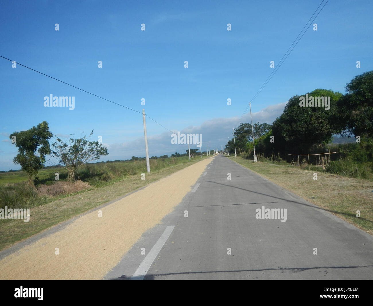 04731 Paddy fields Salapungan Roads Magumbali Candaba Pampanga  21 Stock Photo