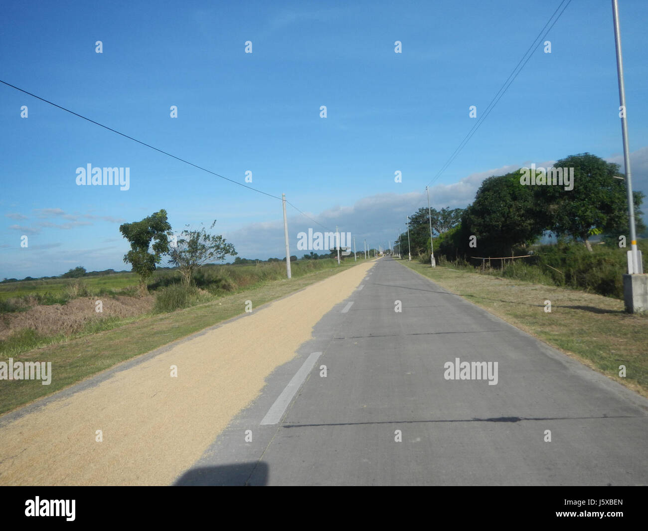 04731 Paddy fields Salapungan Roads Magumbali Candaba Pampanga  22 Stock Photo