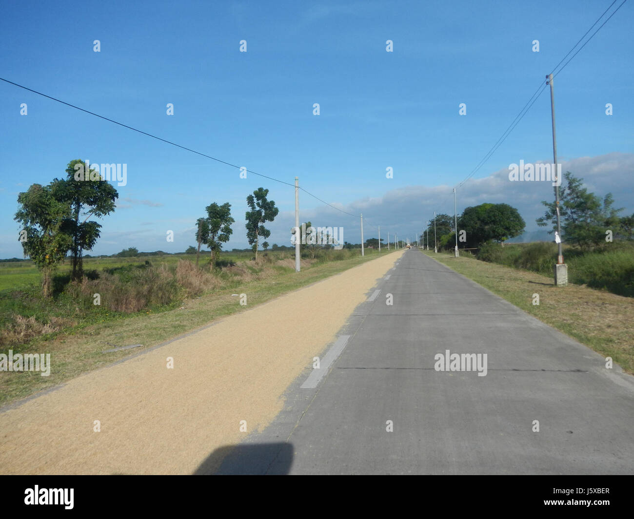 04731 Paddy fields Salapungan Roads Magumbali Candaba Pampanga  24 Stock Photo