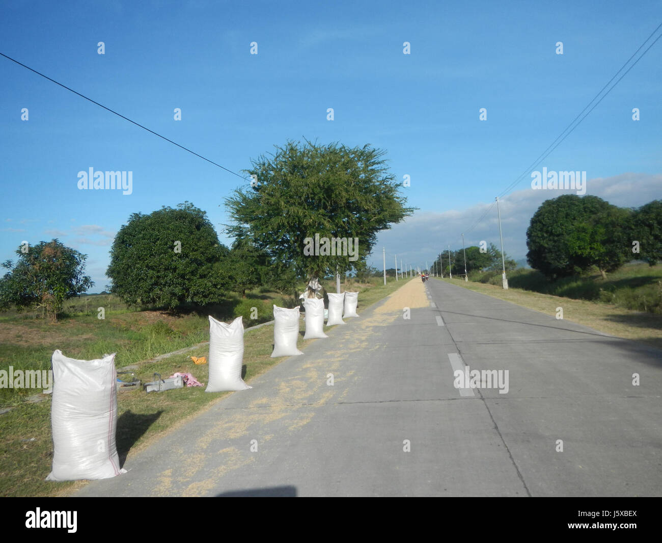 04731 Paddy fields Salapungan Roads Magumbali Candaba Pampanga  26 Stock Photo