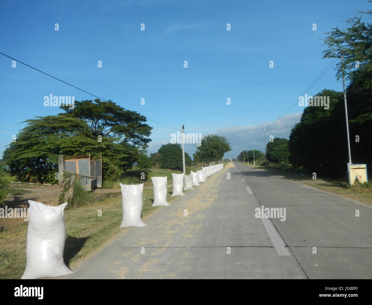 04731 Paddy fields Salapungan Roads Magumbali Candaba Pampanga  28 Stock Photo