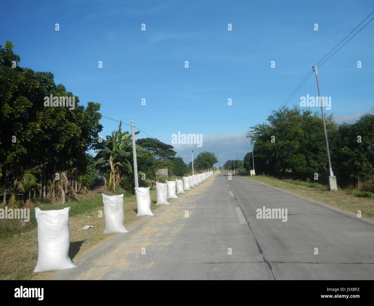 04731 Paddy fields Salapungan Roads Magumbali Candaba Pampanga  30 Stock Photo