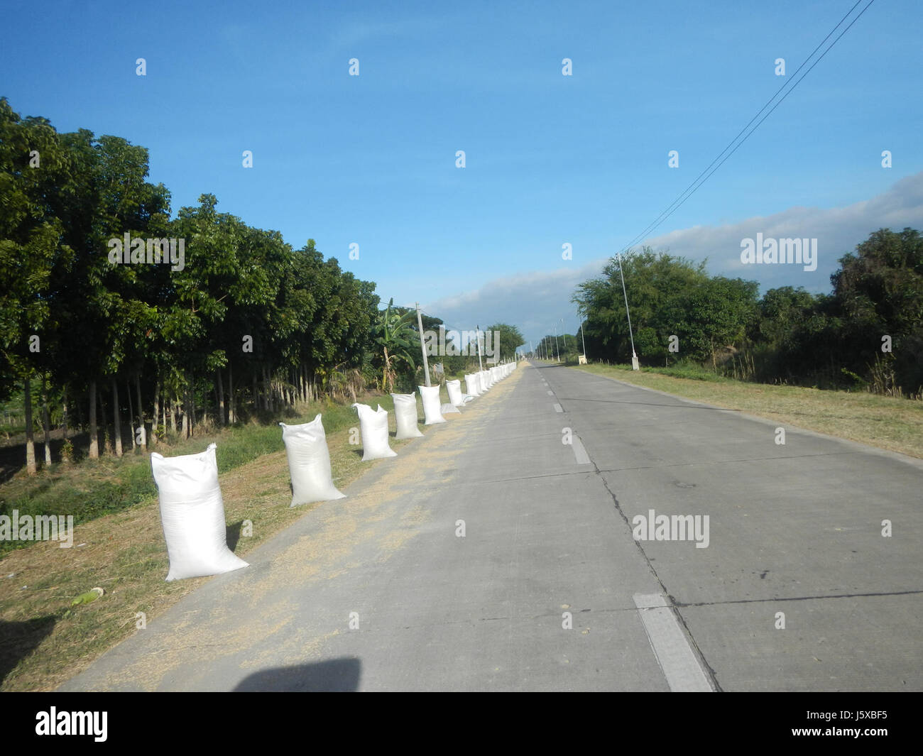 04731 Paddy fields Salapungan Roads Magumbali Candaba Pampanga  32 Stock Photo