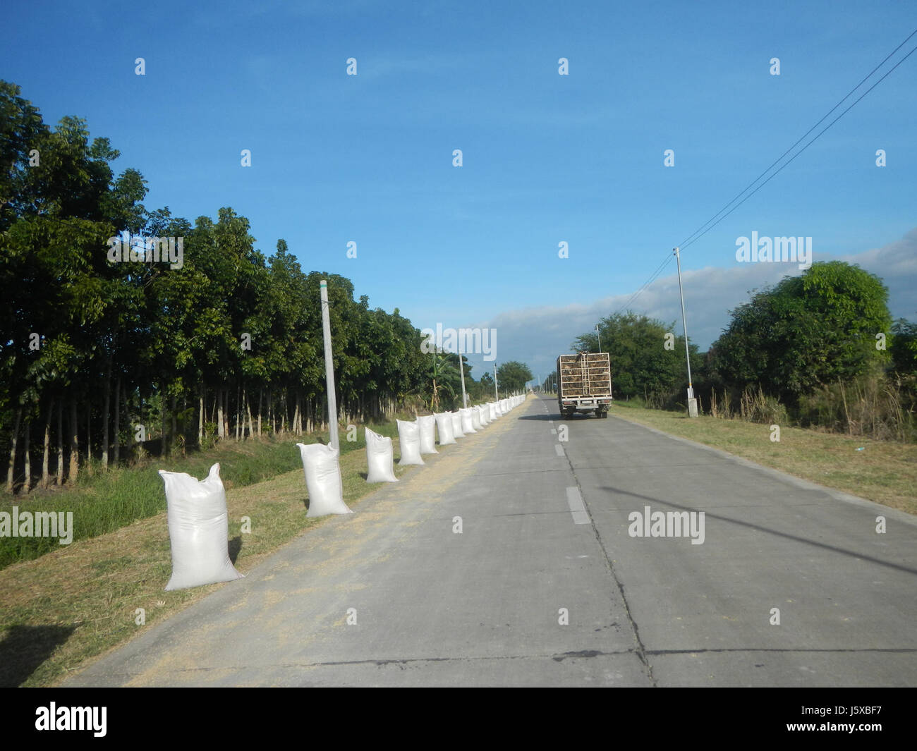04731 Paddy fields Salapungan Roads Magumbali Candaba Pampanga  34 Stock Photo
