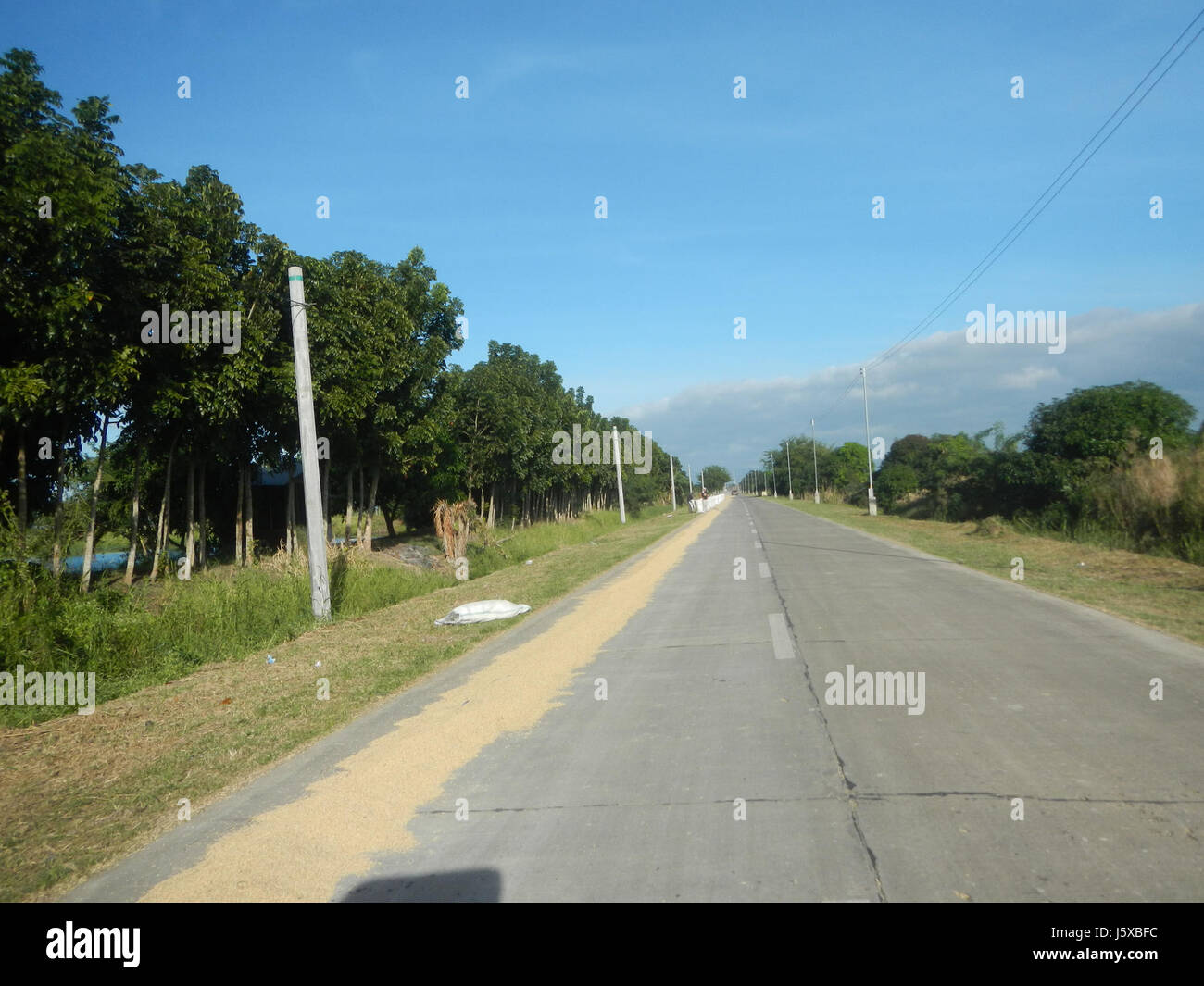 04776 Paddy fields Salapungan Roads Magumbali Candaba Pampanga  02 Stock Photo