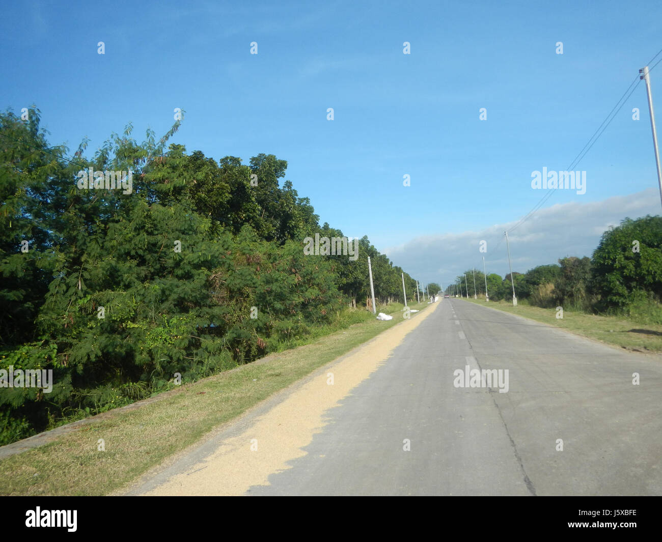 04776 Paddy fields Salapungan Roads Magumbali Candaba Pampanga  04 Stock Photo