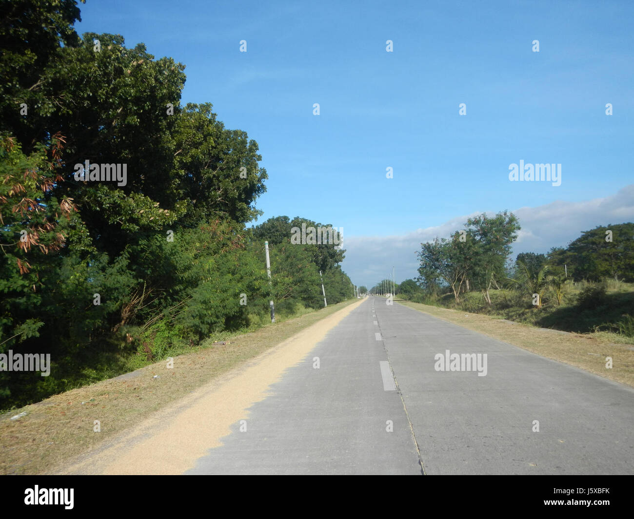04776 Paddy fields Salapungan Roads Magumbali Candaba Pampanga  09 Stock Photo