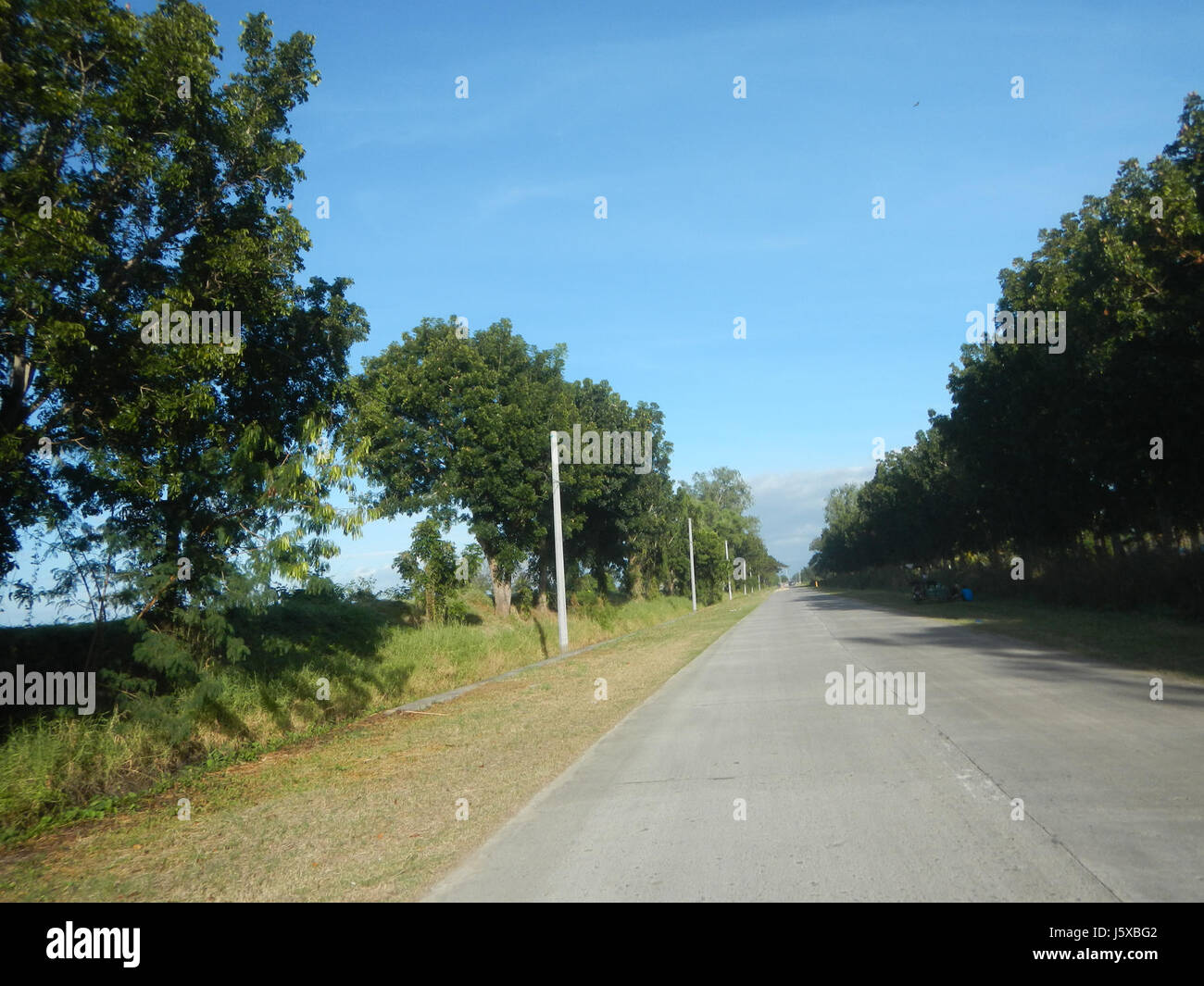 04776 Paddy fields Salapungan Roads Magumbali Candaba Pampanga  19 Stock Photo