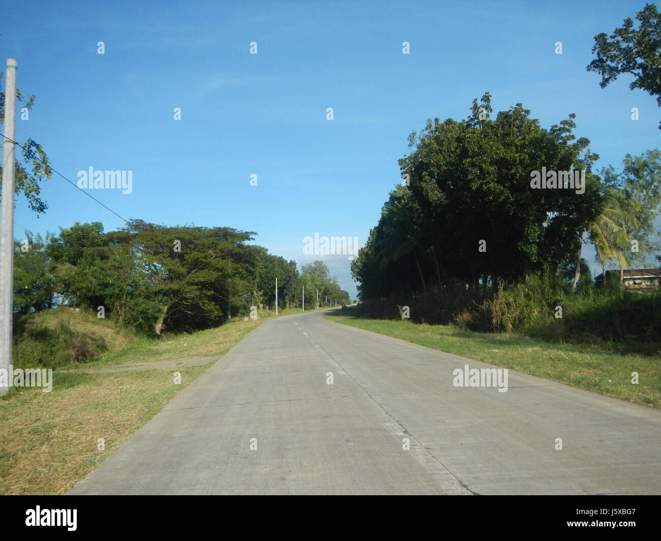 04776 Paddy fields Salapungan Roads Magumbali Candaba Pampanga  23 Stock Photo