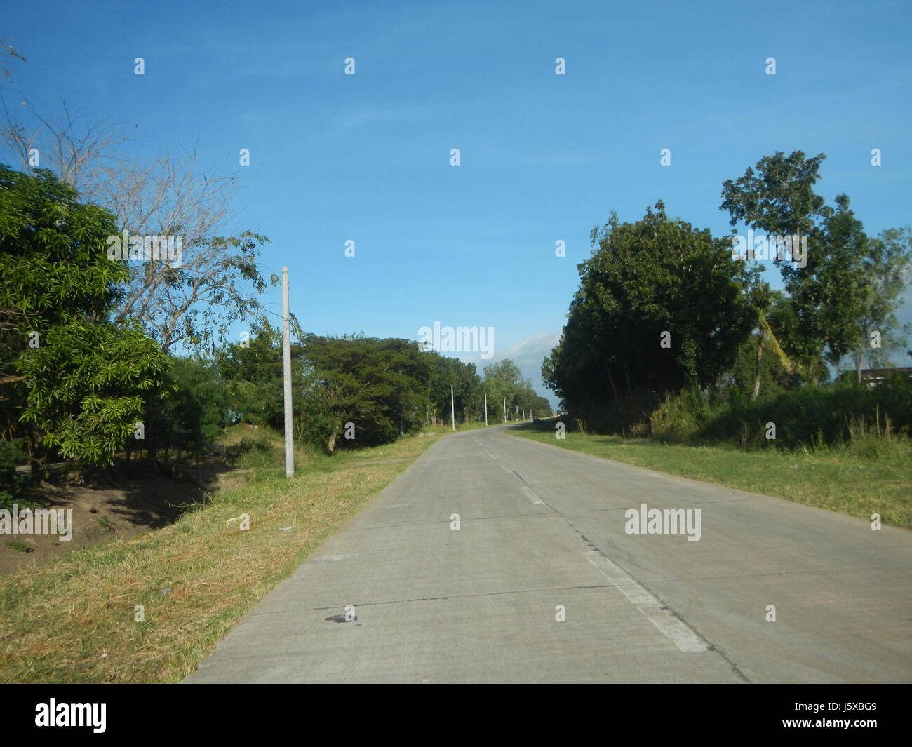04776 Paddy fields Salapungan Roads Magumbali Candaba Pampanga  24 Stock Photo