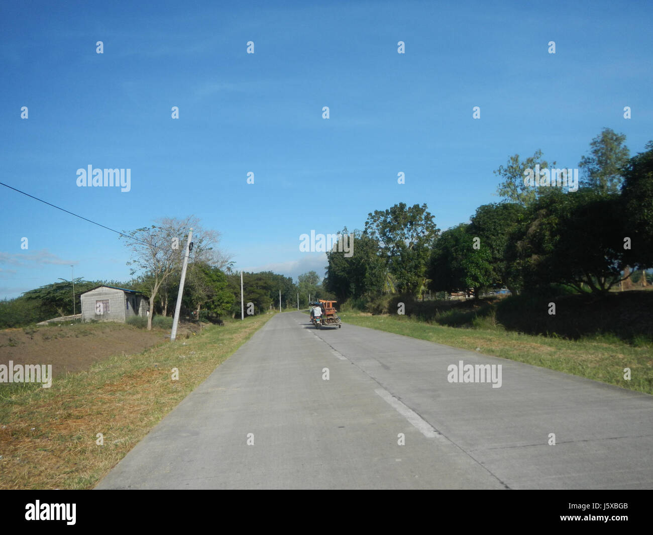 04776 Paddy fields Salapungan Roads Magumbali Candaba Pampanga  26 Stock Photo