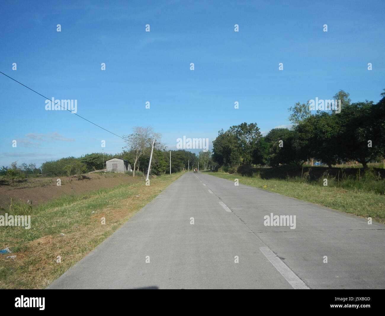 04776 Paddy fields Salapungan Roads Magumbali Candaba Pampanga  28 Stock Photo