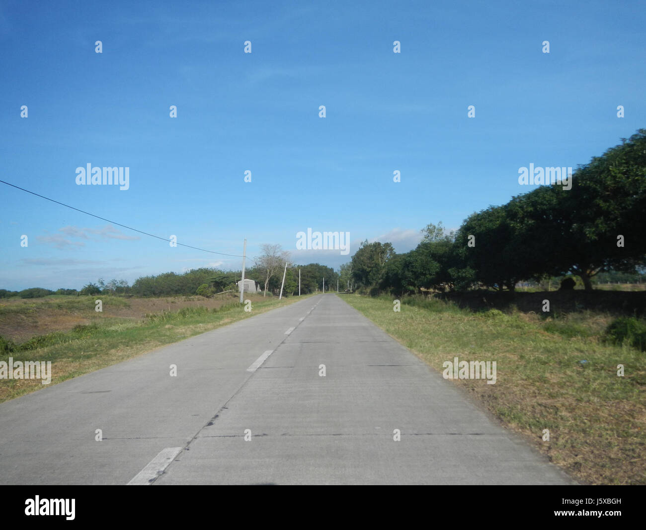 04776 Paddy fields Salapungan Roads Magumbali Candaba Pampanga  32 Stock Photo
