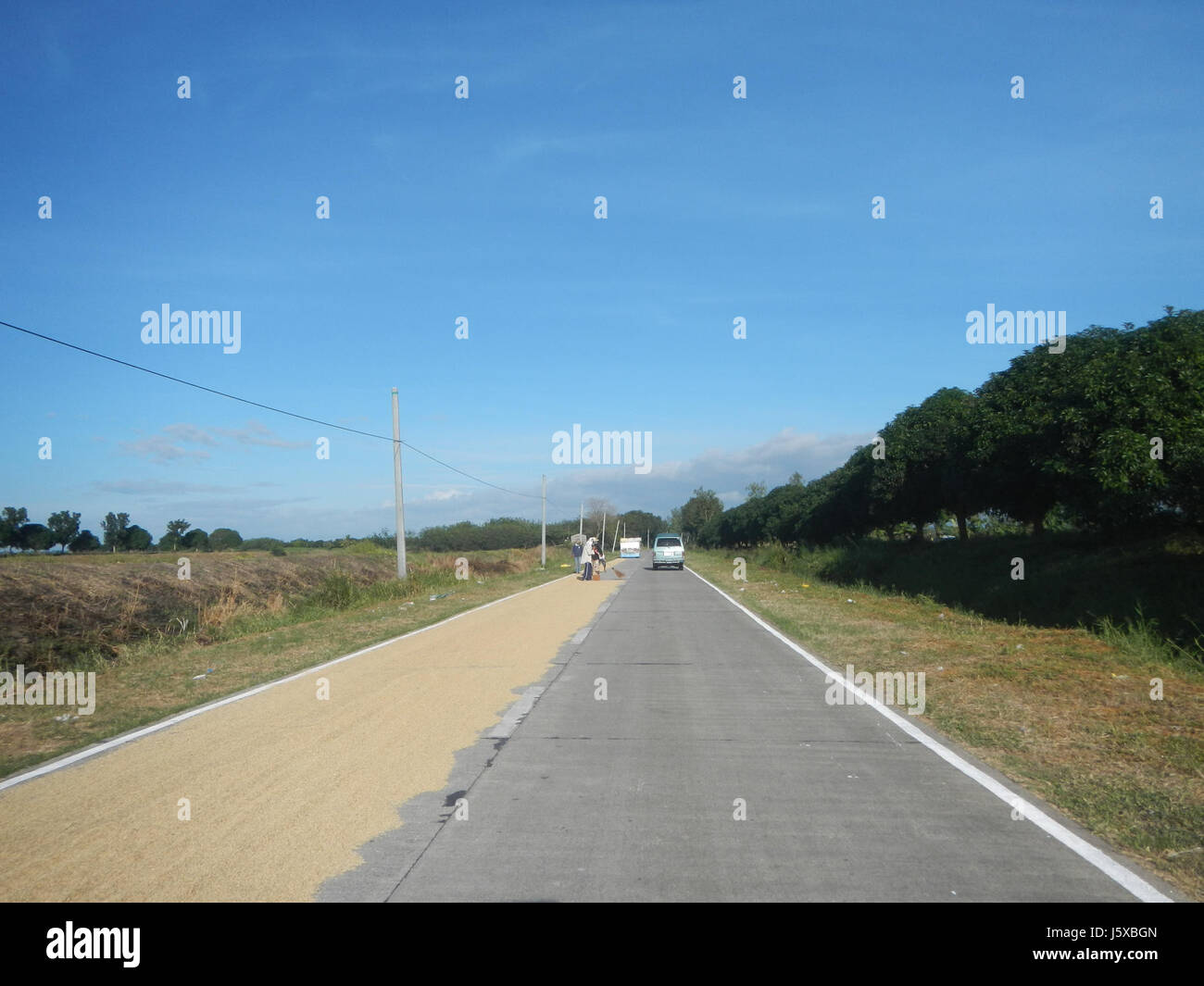 04776 Paddy fields Salapungan Roads Magumbali Candaba Pampanga  35 Stock Photo