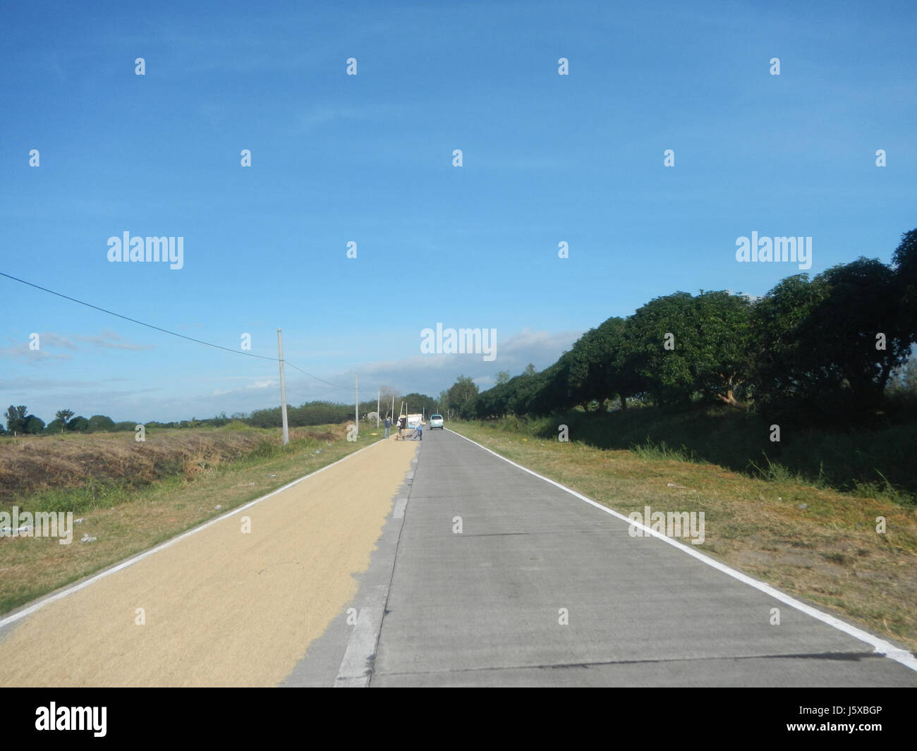 04776 Paddy fields Salapungan Roads Magumbali Candaba Pampanga  36 Stock Photo