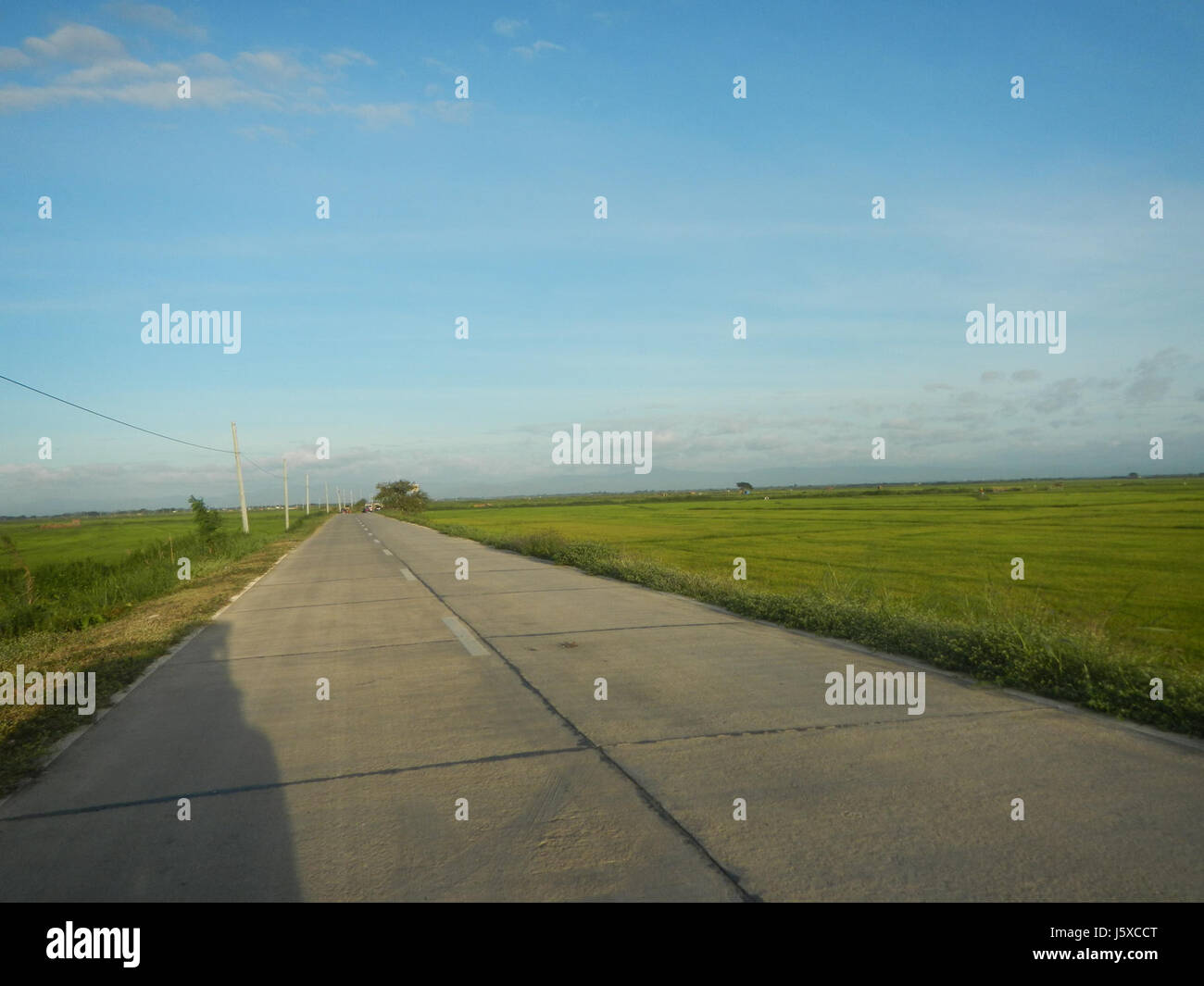 05438 Paddy fields Salapungan Roads Magumbali Candaba Pampanga  09 Stock Photo