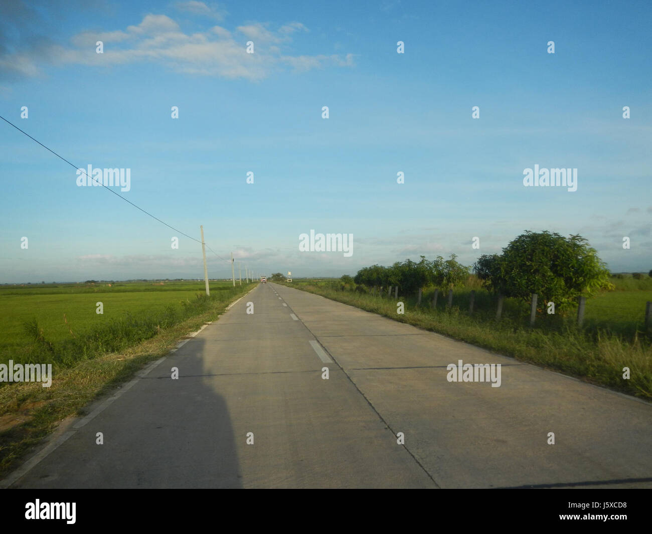 05438 Paddy fields Salapungan Roads Magumbali Candaba Pampanga  21 Stock Photo