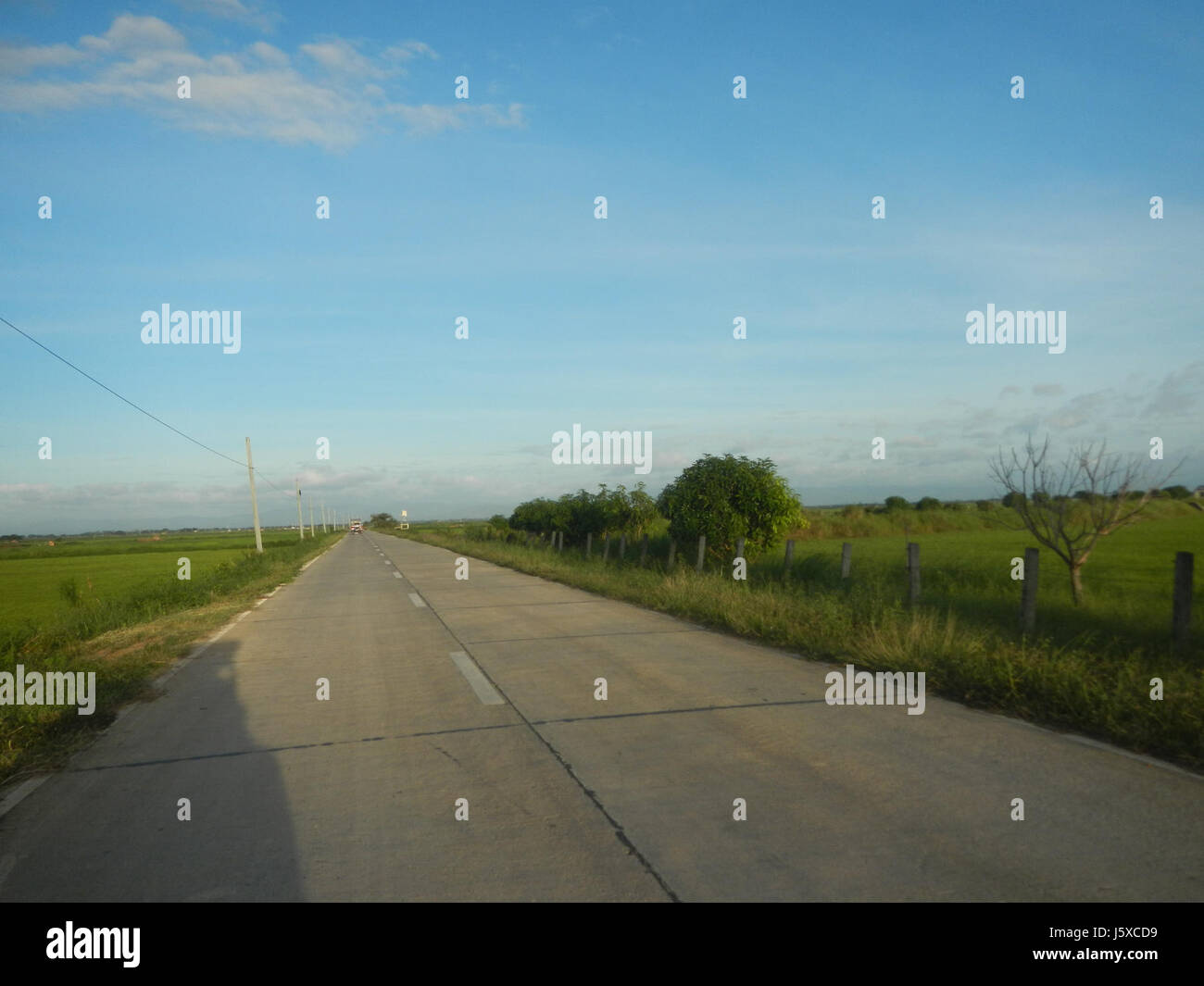 05438 Paddy fields Salapungan Roads Magumbali Candaba Pampanga  22 Stock Photo