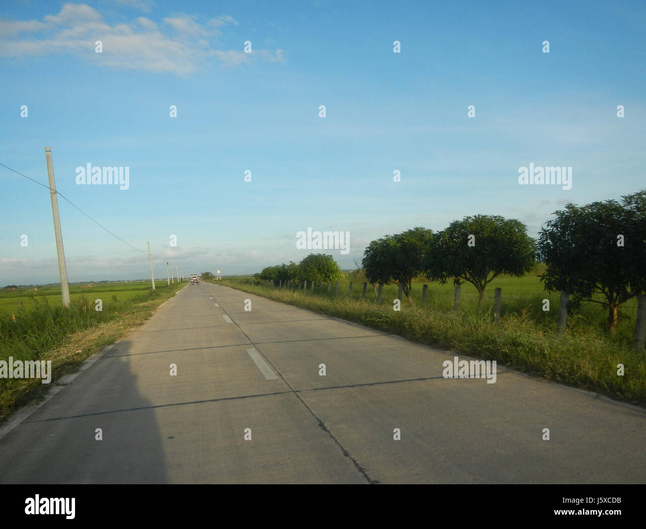 05438 Paddy fields Salapungan Roads Magumbali Candaba Pampanga  24 Stock Photo