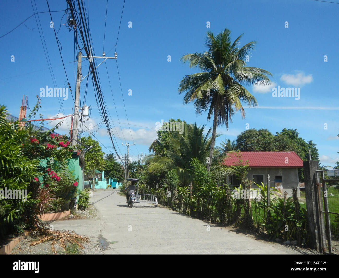 04375 Bonga Menor Malamig Bustos Bulacan Municipal Road  22 Stock Photo