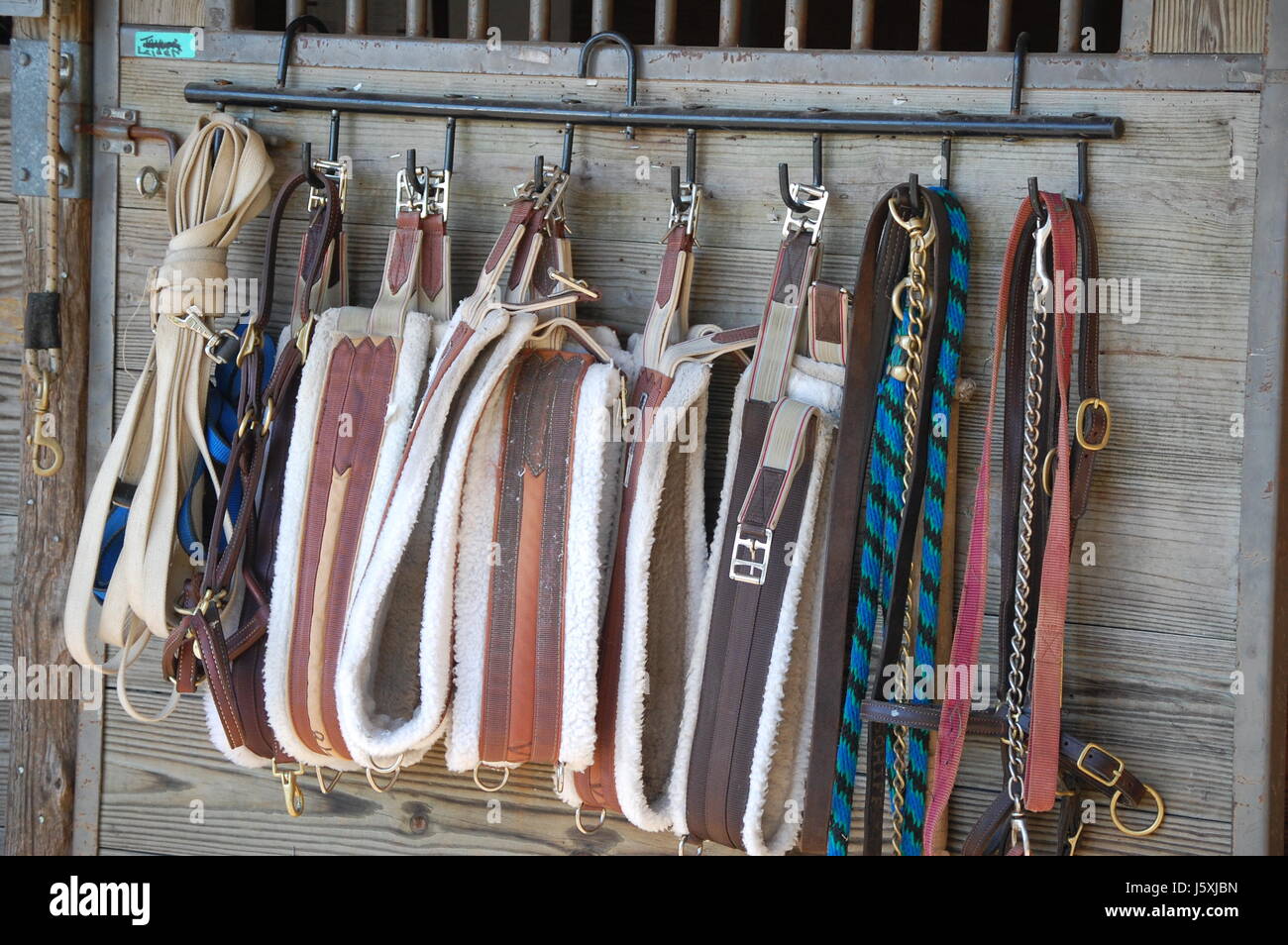 blue brown brownish brunette leather equipment buckles tack rope stall ...