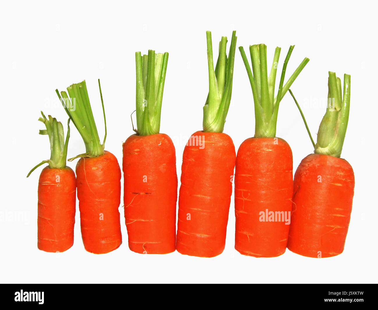 vegetable carrots carrot carotin vitamins vitamines vegetable carrots