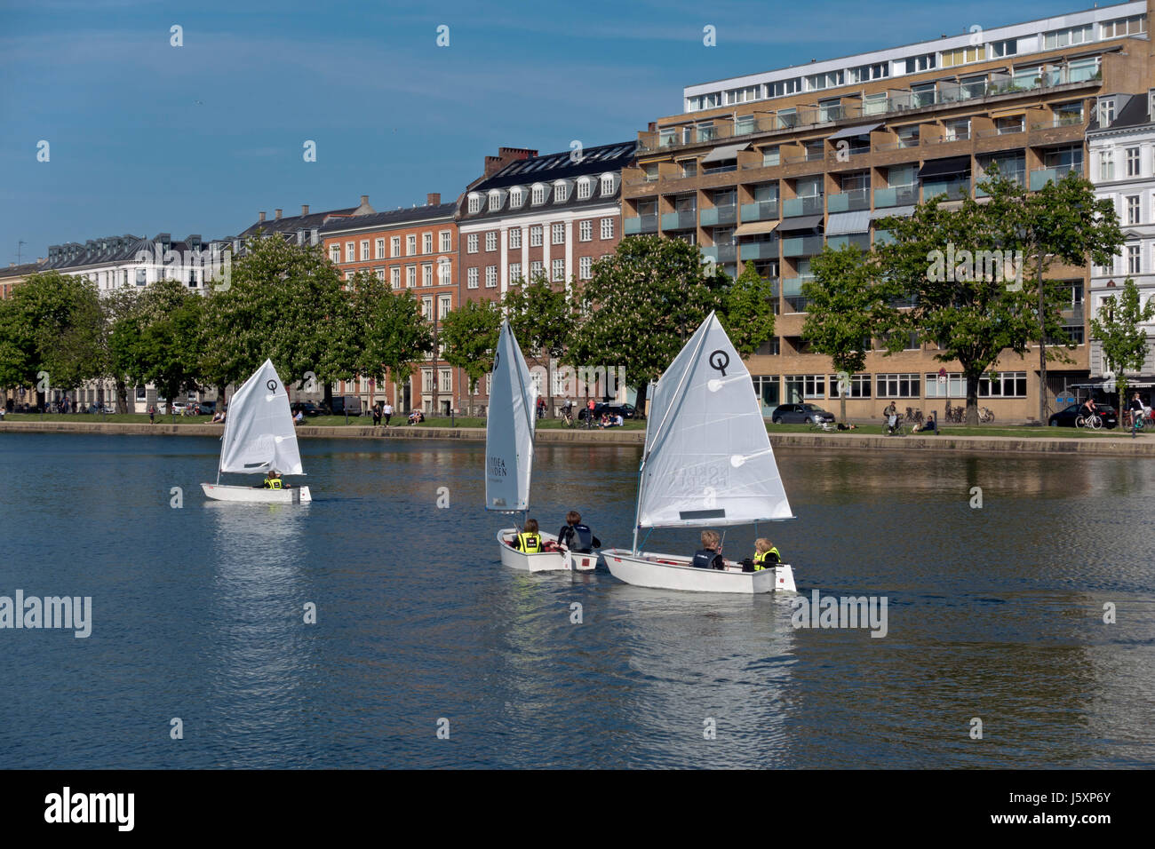 Junior sailors in optimist dinghies on the Peblinge Lake in central Copenhagen on a sunny afternoon late spring early summer. Stock Photo