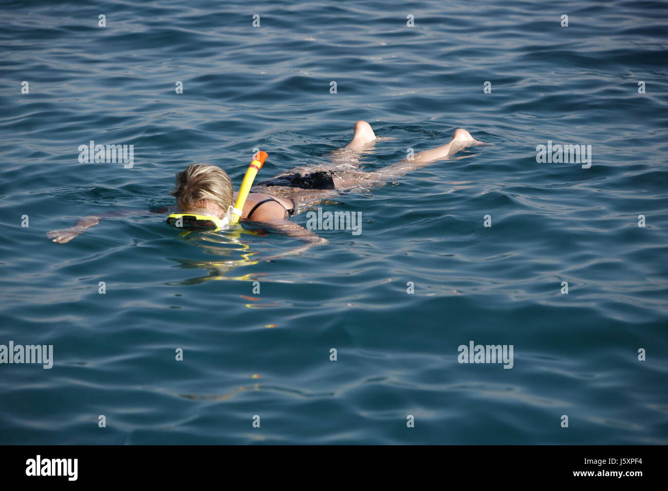 snorkel salt water sea ocean water swimming swiming swim swims to do