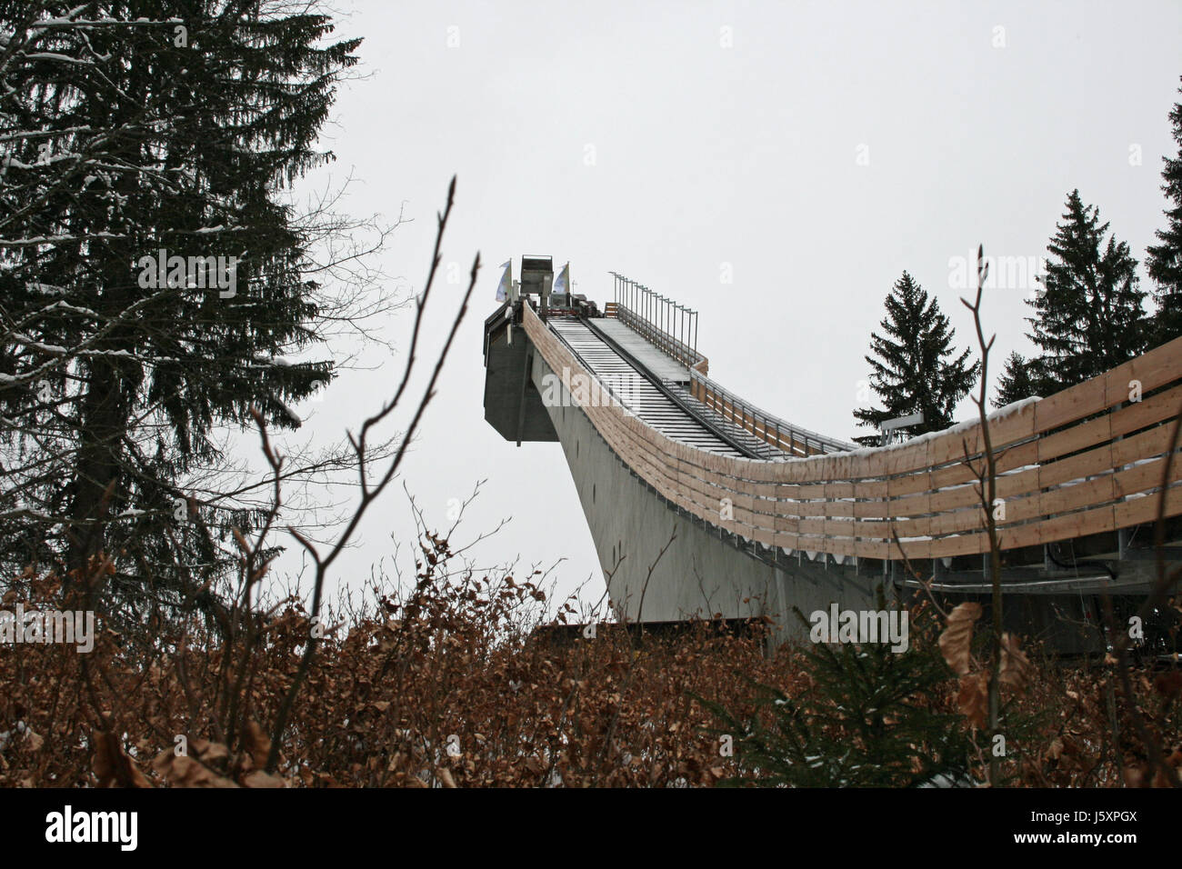 winter sports ski-jumping ski jump tree trees winter shine shines bright lucent Stock Photo