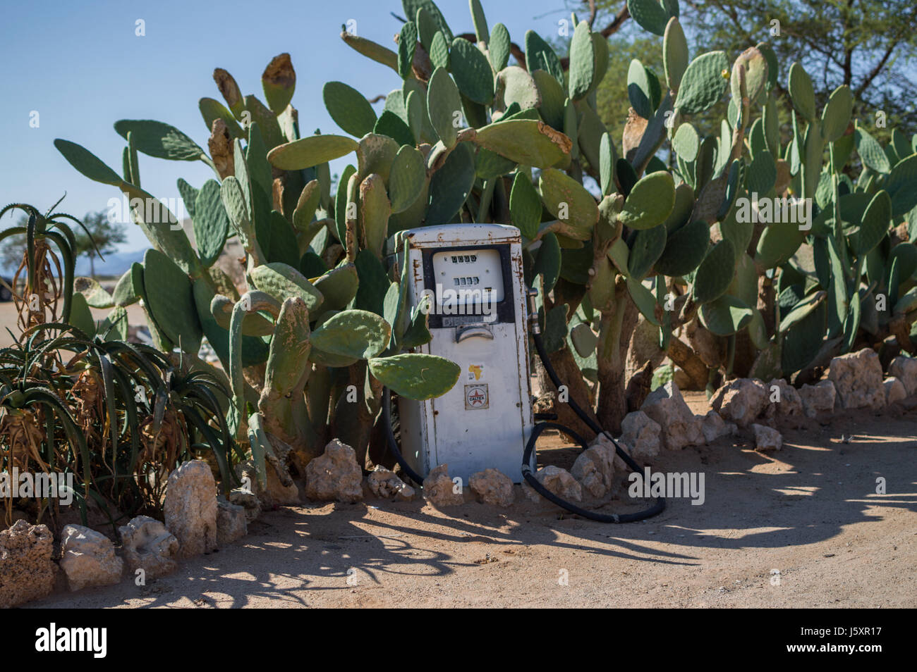 excentrisk overfladisk mulighed Retro Gas Pump with Cactus in a Desert Landscape in Solitaire, Namibia  Stock Photo - Alamy