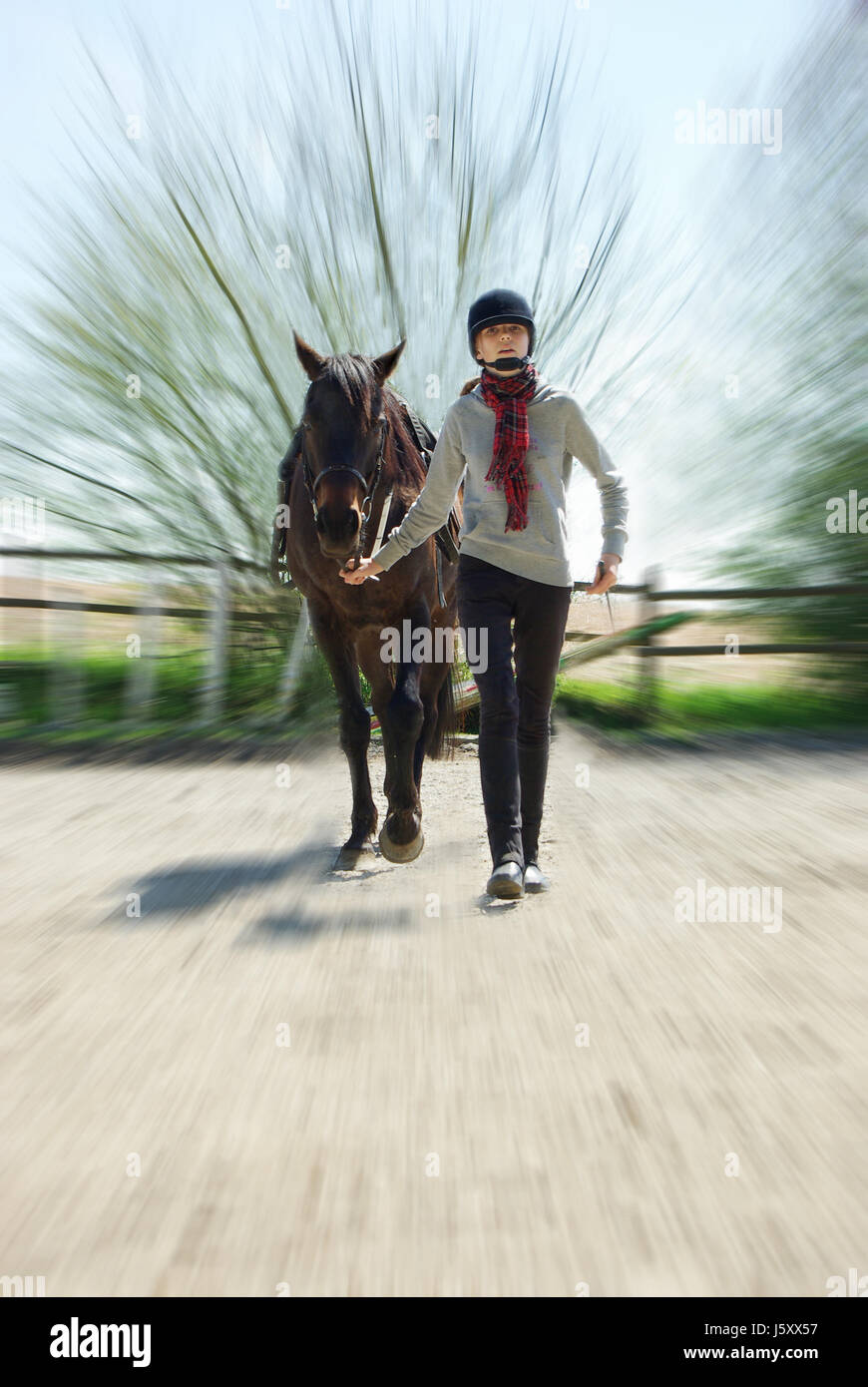 motion postponement moving movement ride horse sporty athletic wiry pithy Stock Photo
