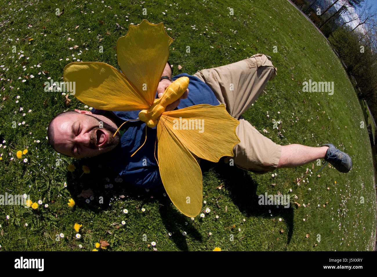 butterflies in the stomach Stock Photo Alamy