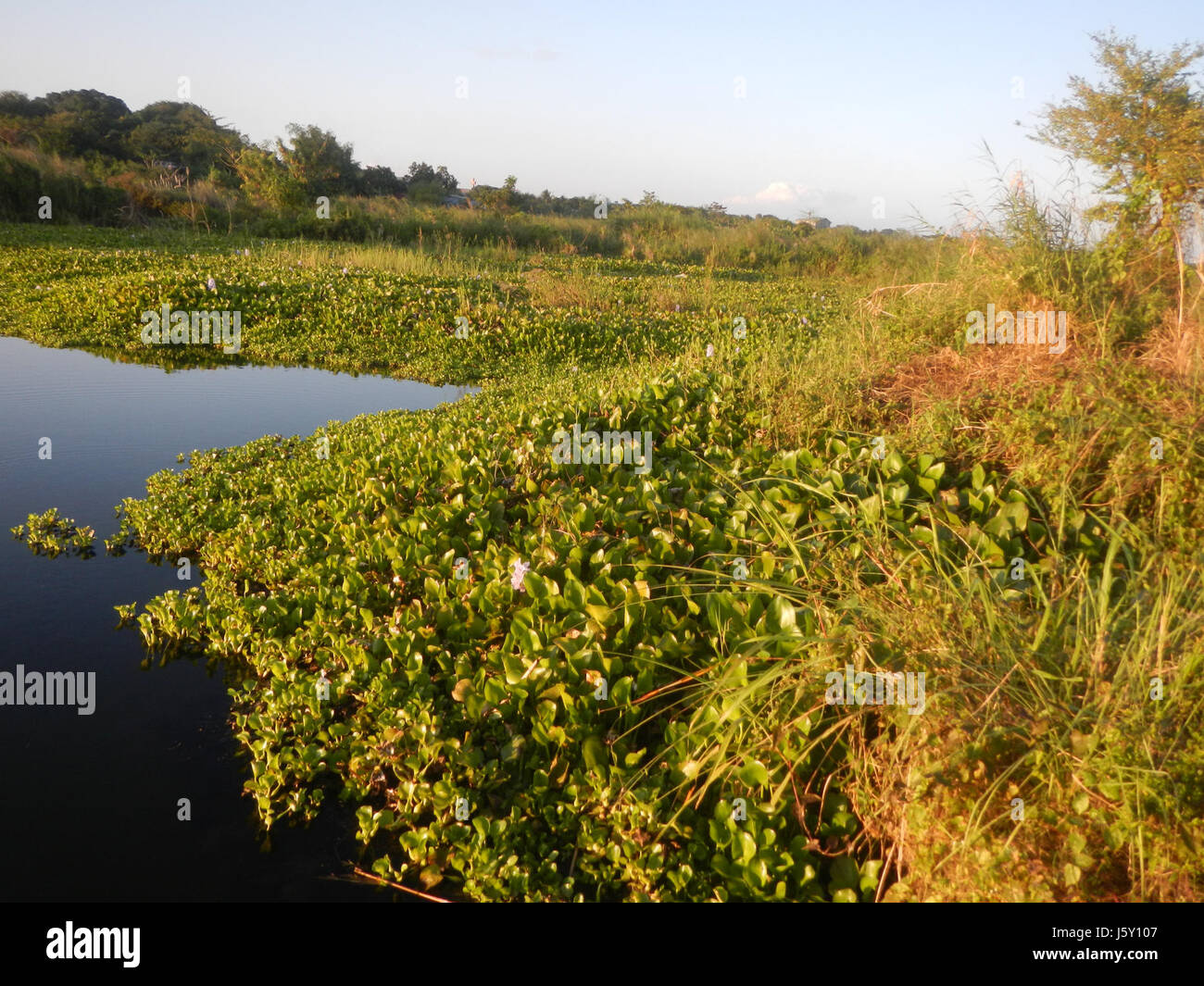 0381 Grasslands fishponds creeks Riprap construction slope protection
