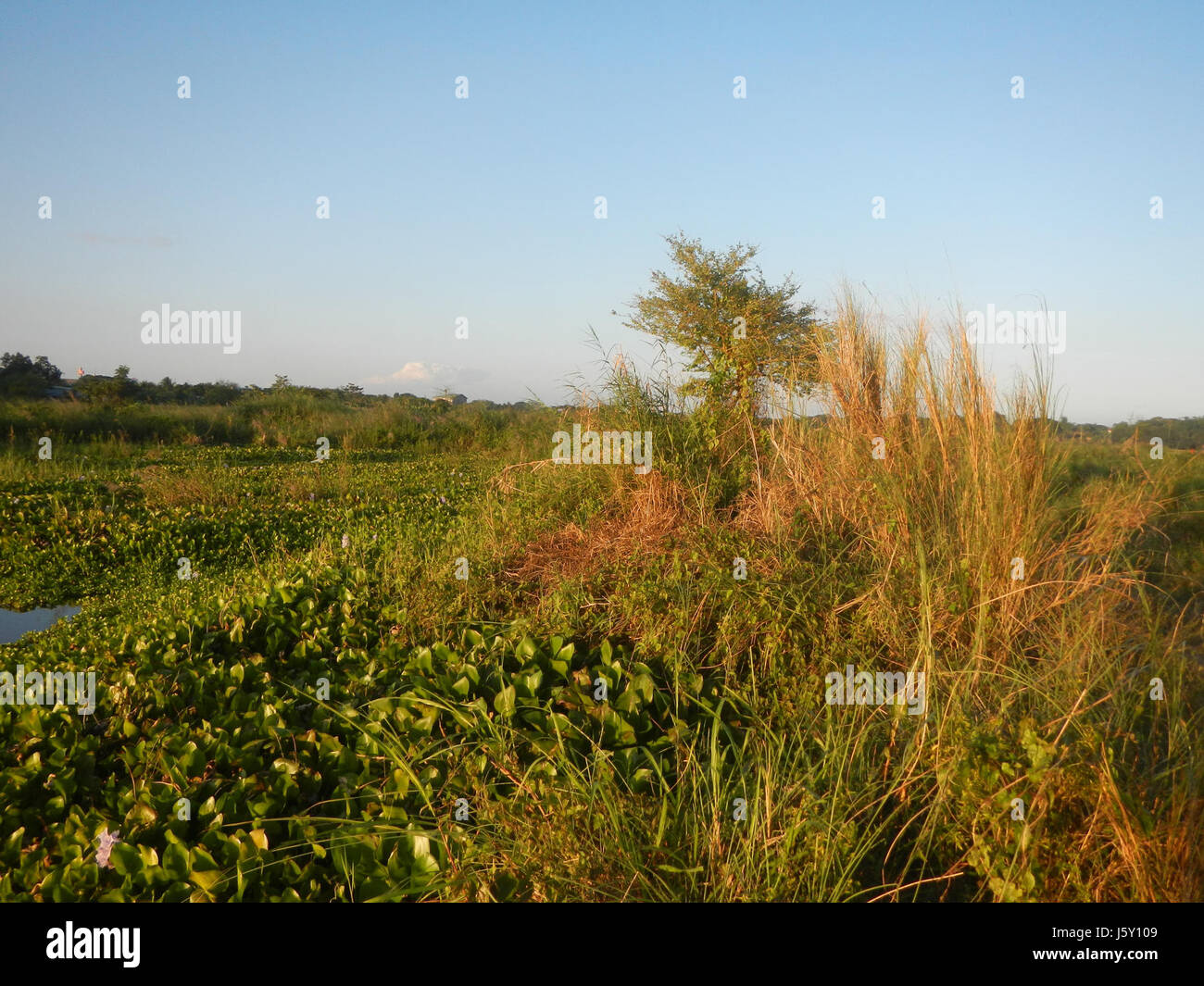 0381 Grasslands fishponds creeks Riprap construction slope protection