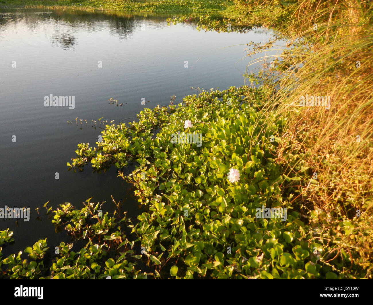 0414 Grasslands fishponds creeks Riprap construction slope protection ...