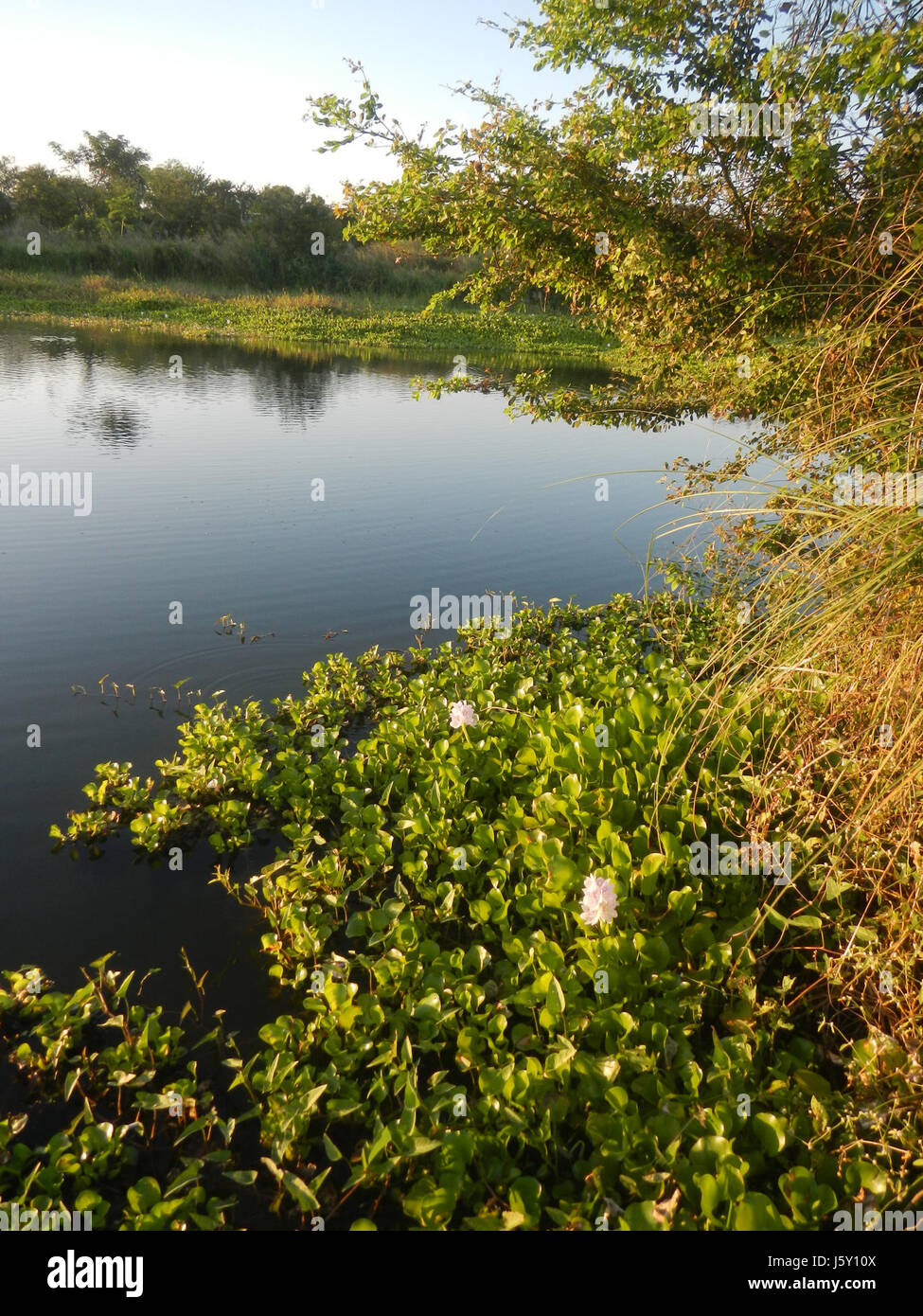 0414 Grasslands fishponds creeks Riprap construction slope protection