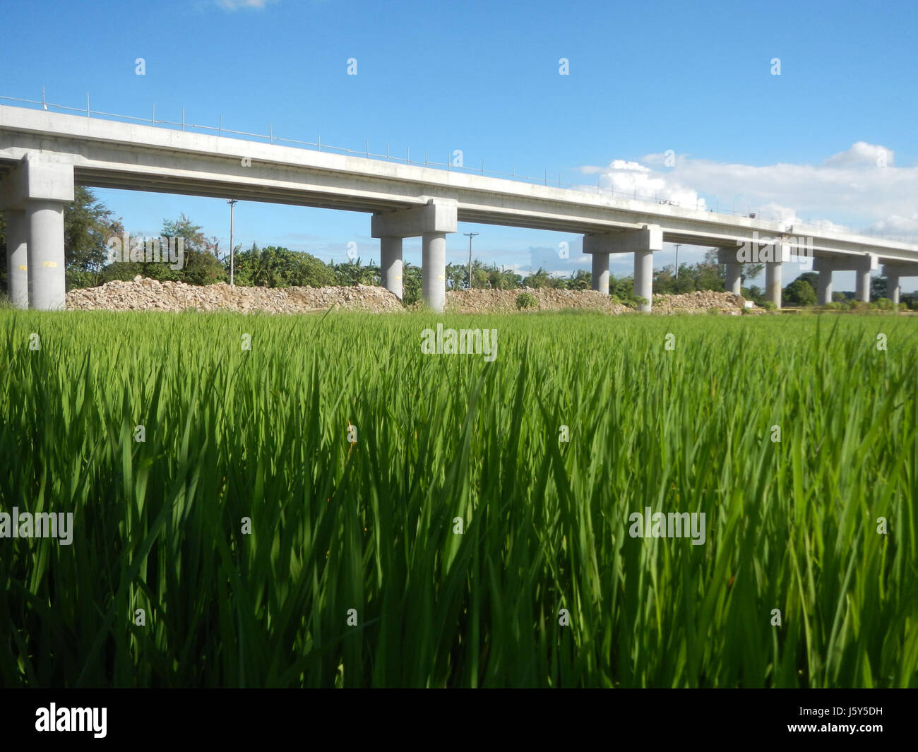 01818 Paddy fields Arterial Road Bypass Project Phase II Tambubong ...